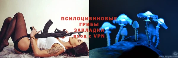 дурь Коряжма