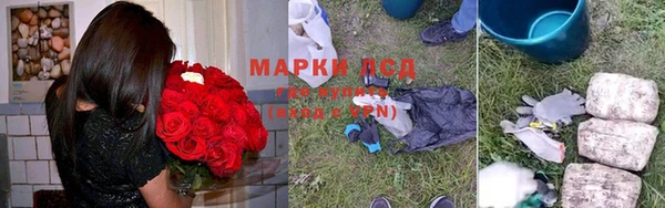 дурь Коряжма