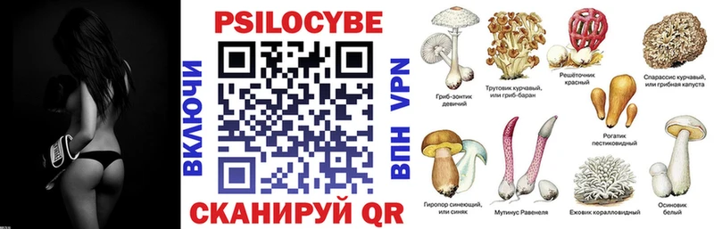 Галлюциногенные грибы GOLDEN TEACHER  Купить где  Моздок 